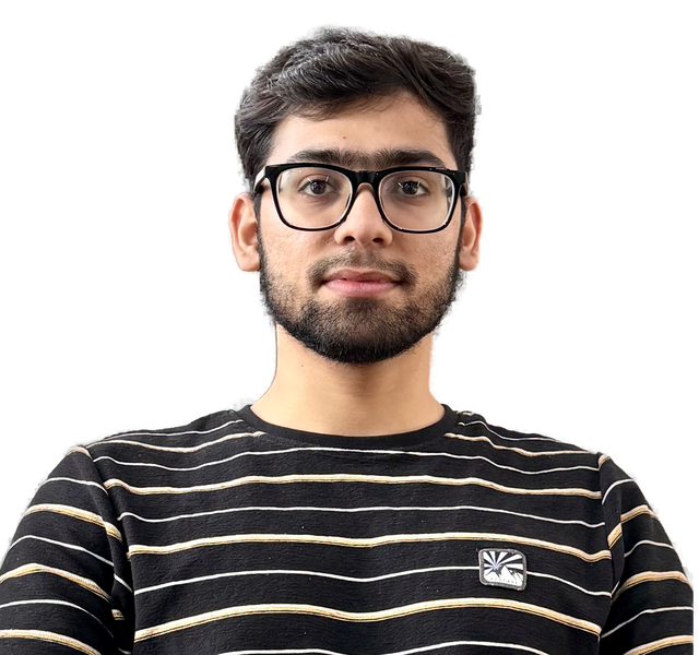 Divesh Nailwal, Software Developer
